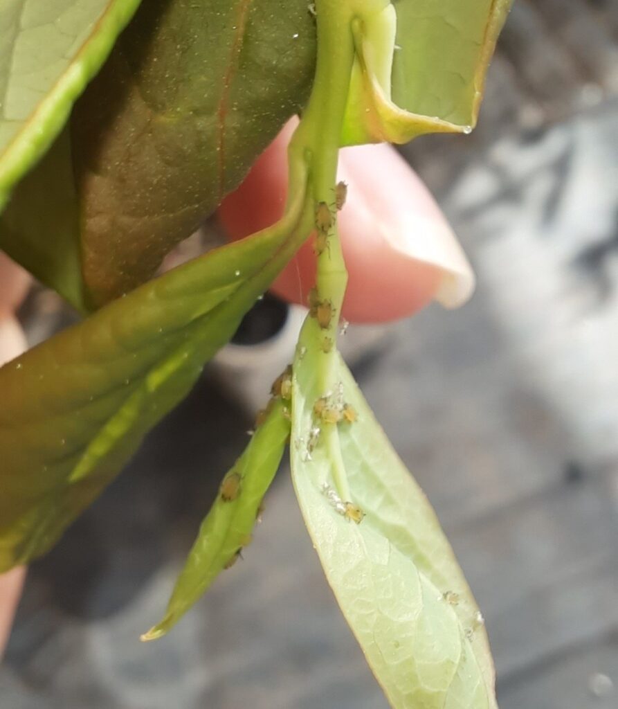 photo 3 2026 07 05 13 35 57