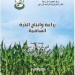 كتاب زراعة وانتاج الذرة الشامية